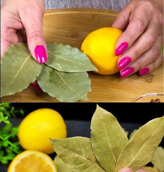 Breathe Easy with Homemade Bay Leaf and Lemon Syrup