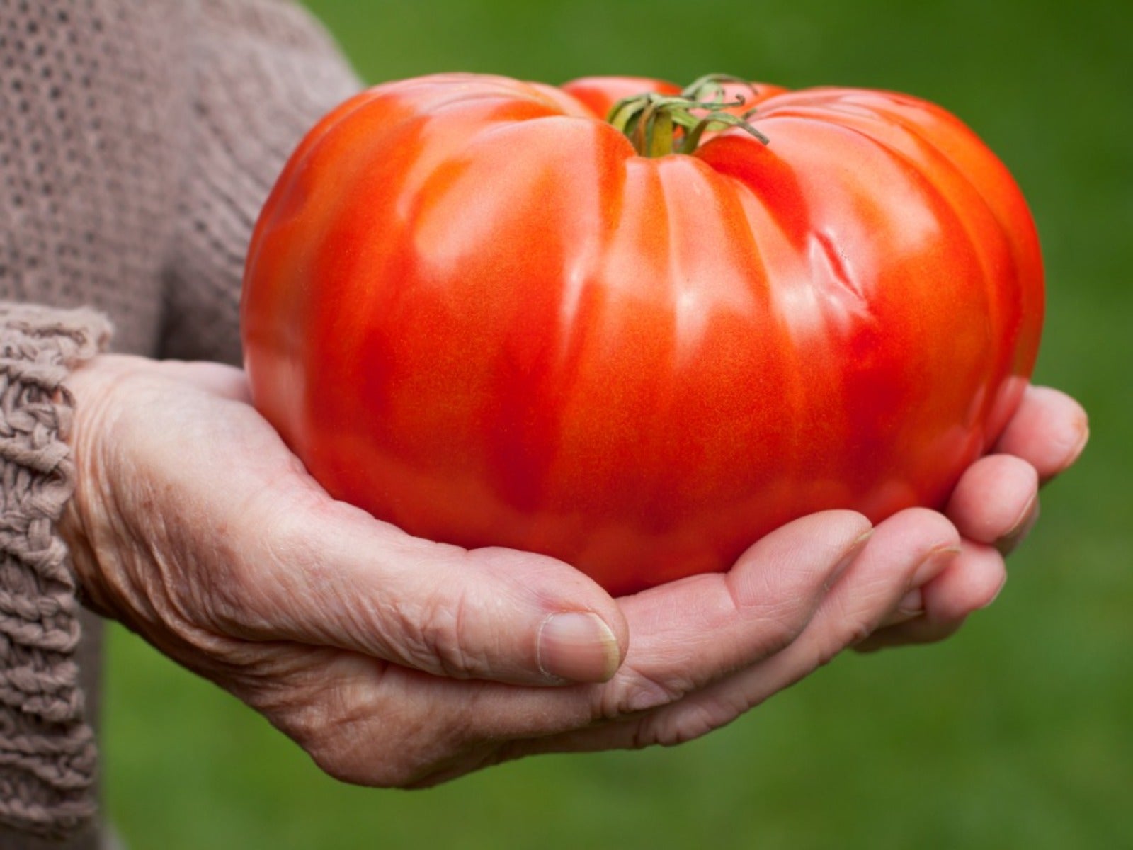 Grow Big, Juicy Tomatoes with This Simple Method