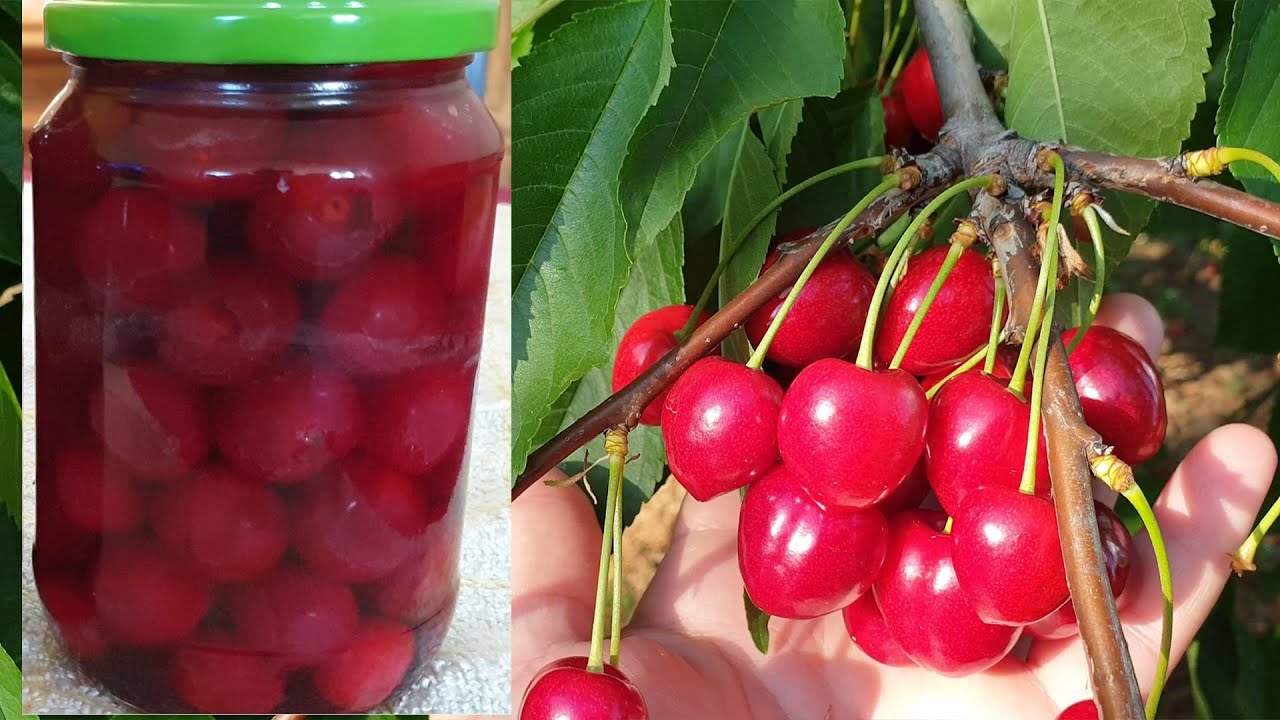 Cherish the Taste: Simple and Delicious Sugar-Free Cherry Compote