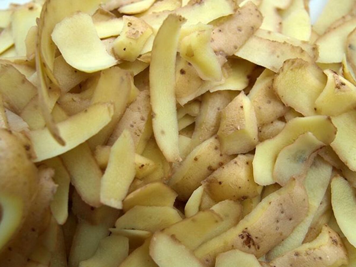 The Secret Life of Potato Peels: A Revelation You Can’t Miss