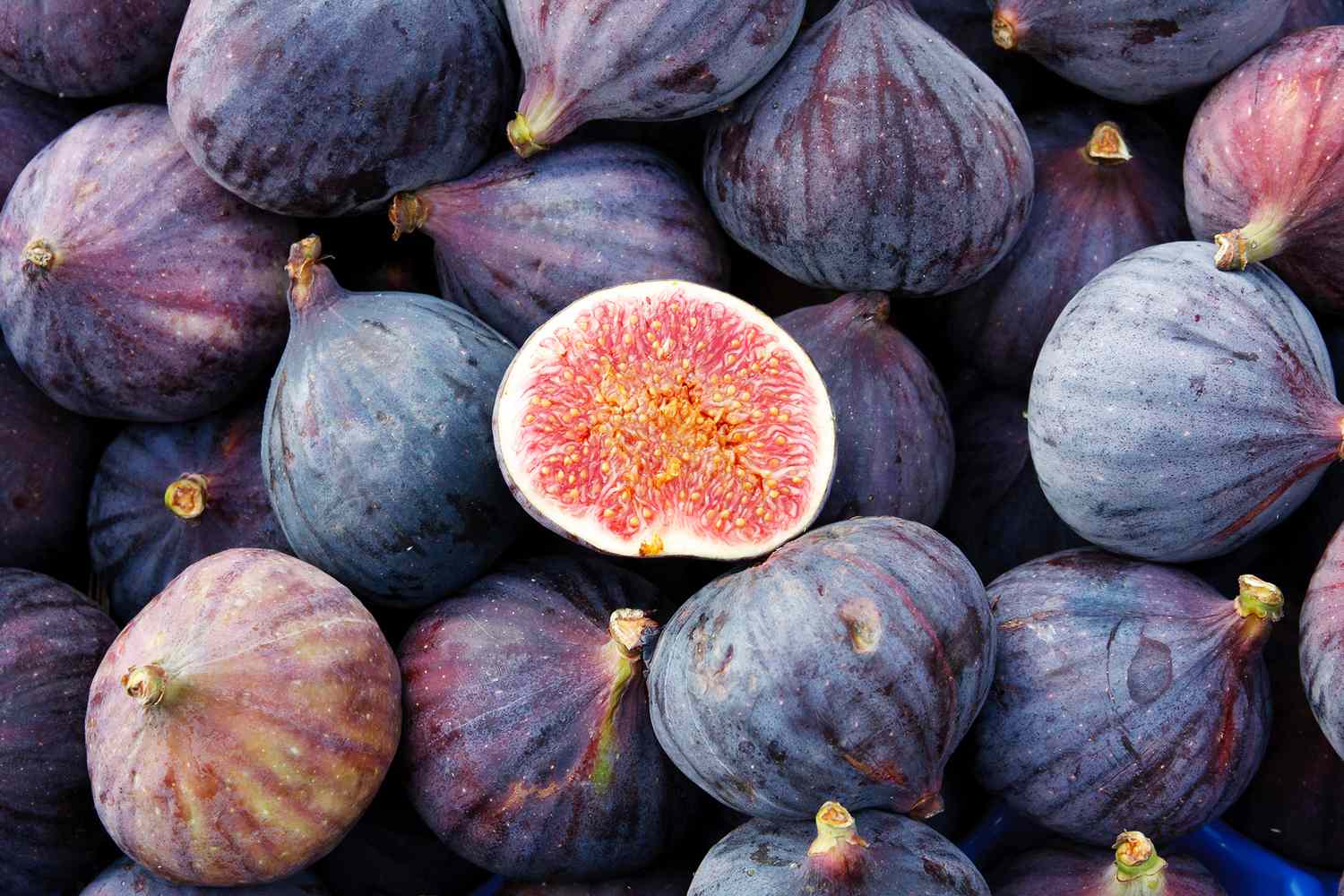 How to Grow Figs with Minimal Expense