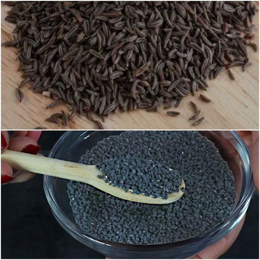 Cures Everything Except Death: 200 Diseases Escape from This Seed – Diabetes, Infections, Viruses: Black Cumin