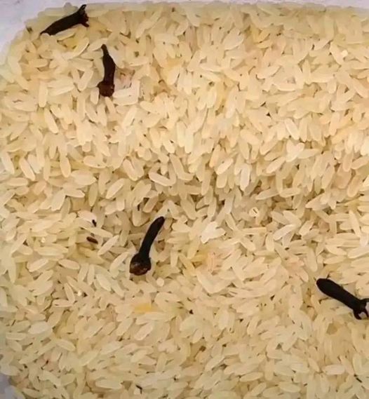 The Wonders of Rice and Cloves: A Simple Addition to Your Wellness Routine