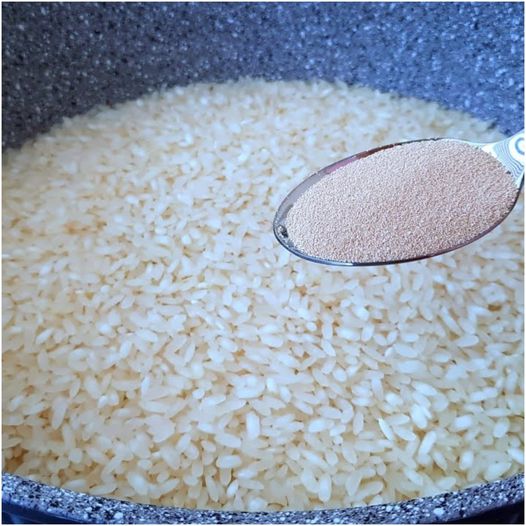 Just Mix Rice and Yeast! My Grandmother Told Me This Secret!