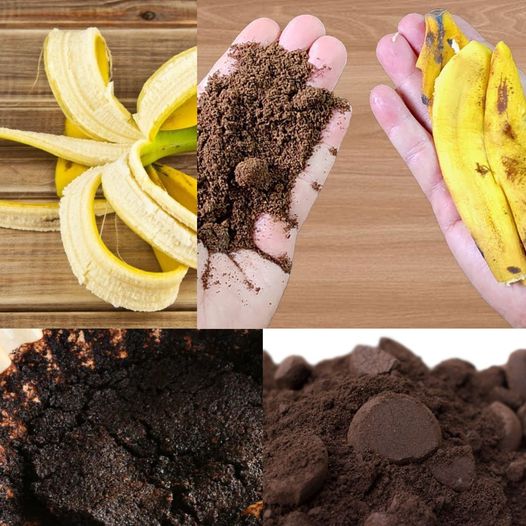 Just Mix Coffee into Banana Peel and You No Longer Need to Buy It at the Market