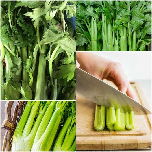 Forget About Blood Sugar and Obesity! This Celery Recipe is a Real Discovery!