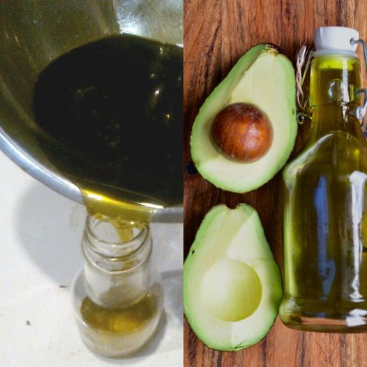 How to Make Avocado Oil at Home from Scratch | Cold Pressed