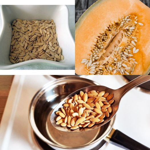 Boil Melon Seeds, Drink the Liquid, and You Will Be Grateful for This Advice