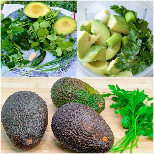 Forget About Blood Sugar and Obesity! This Avocado Recipe is a Real Treasure!