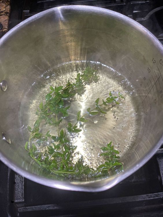 Harnessing the Healing Power of Oregano Tea: A Guide to Taking it for Various Ailments