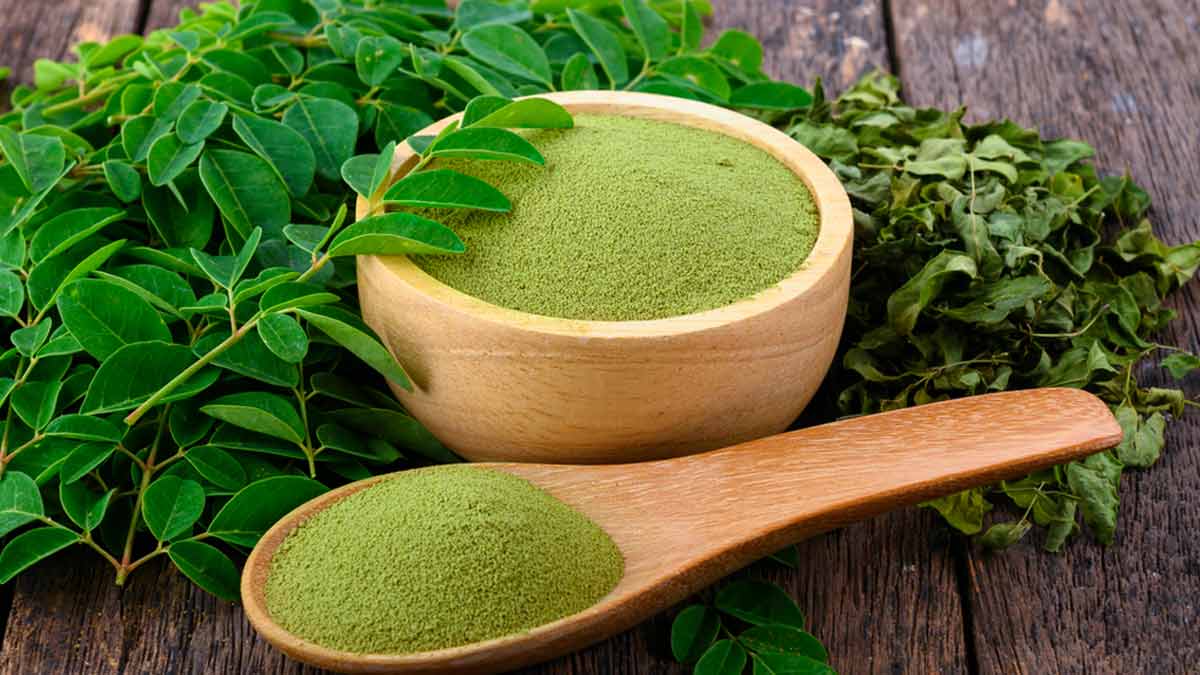 The Healing Power of Moringa Leaf Powder