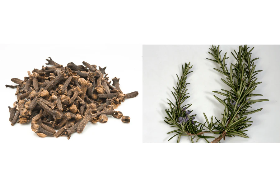 Rosemary and Cloves Tea: Immunity-Boosting Elixir