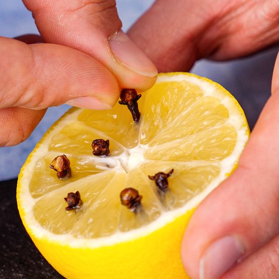 Natural Pest Control: How to Use Lemon and Cloves to Rid Your Home of Pests