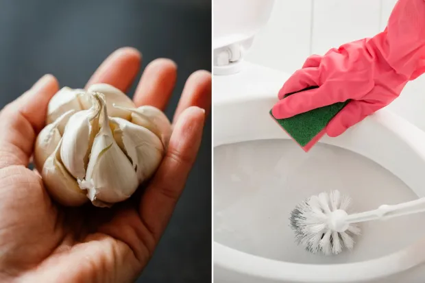 The Surprising Benefits of Using Garlic for Toilet Cleaning