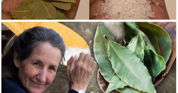 Enhancing Everyday Life: The Hidden Secrets of Salt and Bay Leaves