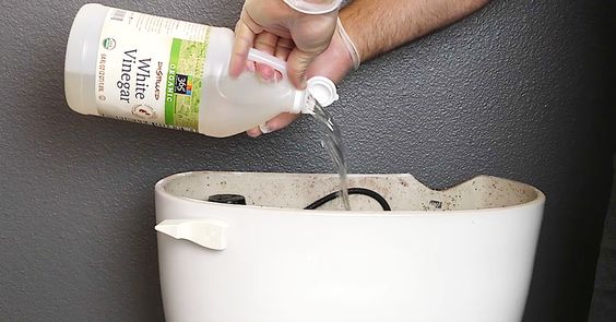 The Wonders of Vinegar: A Simple Solution for a Cleaner Toilet