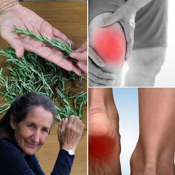 Improve Your Mobility and Well-being with Rosemary