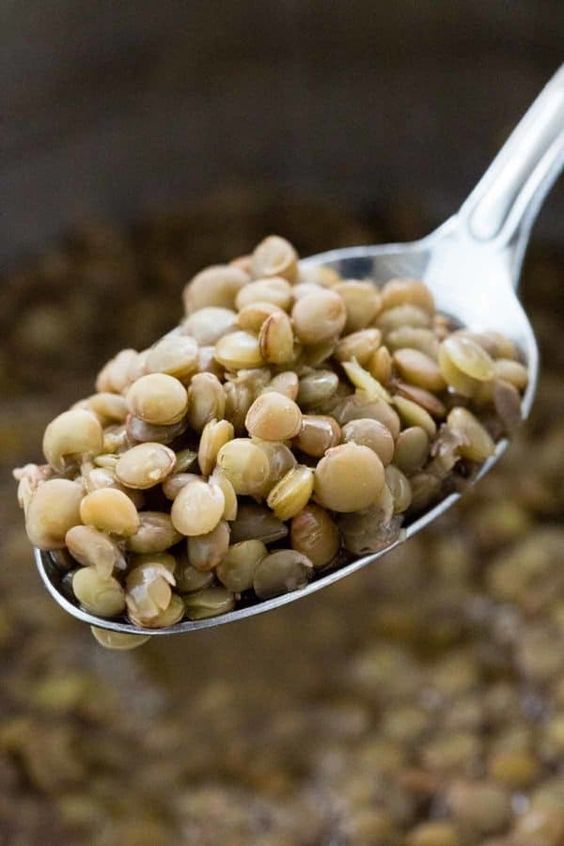 Discovering the Wonders of Green Lentils: A Delicious and Nutritious Alternative to Meat