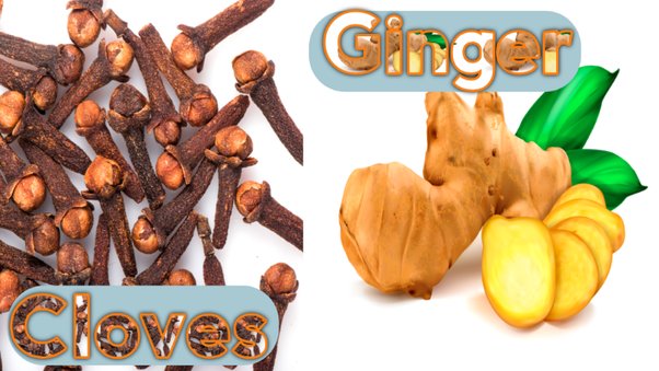 7 Powerful Health Benefits of Cloves and Ginger for the Human Body