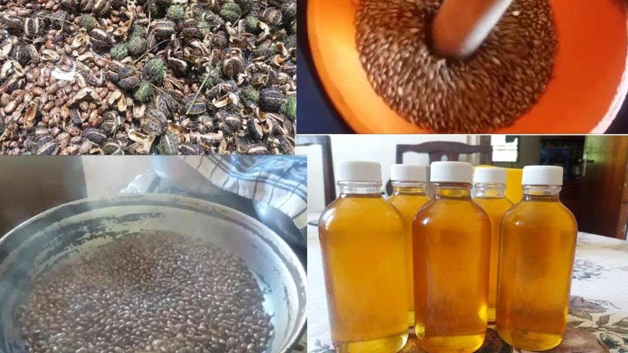 How to Make Castor Oil at Home