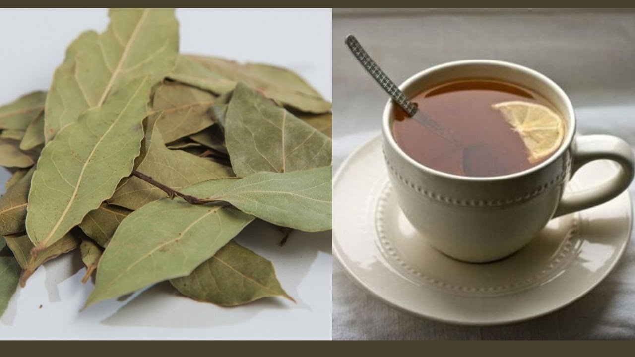 Bay Leaf Tea: Benefits and Contraindications