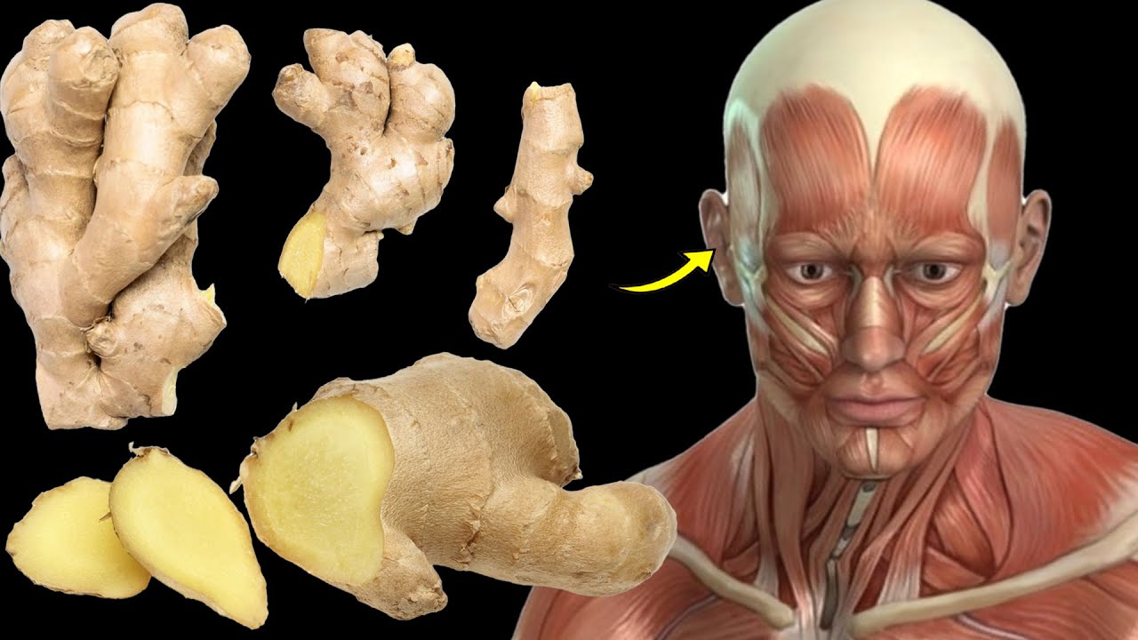 What Happens to Your Body When You Eat Ginger Every Day