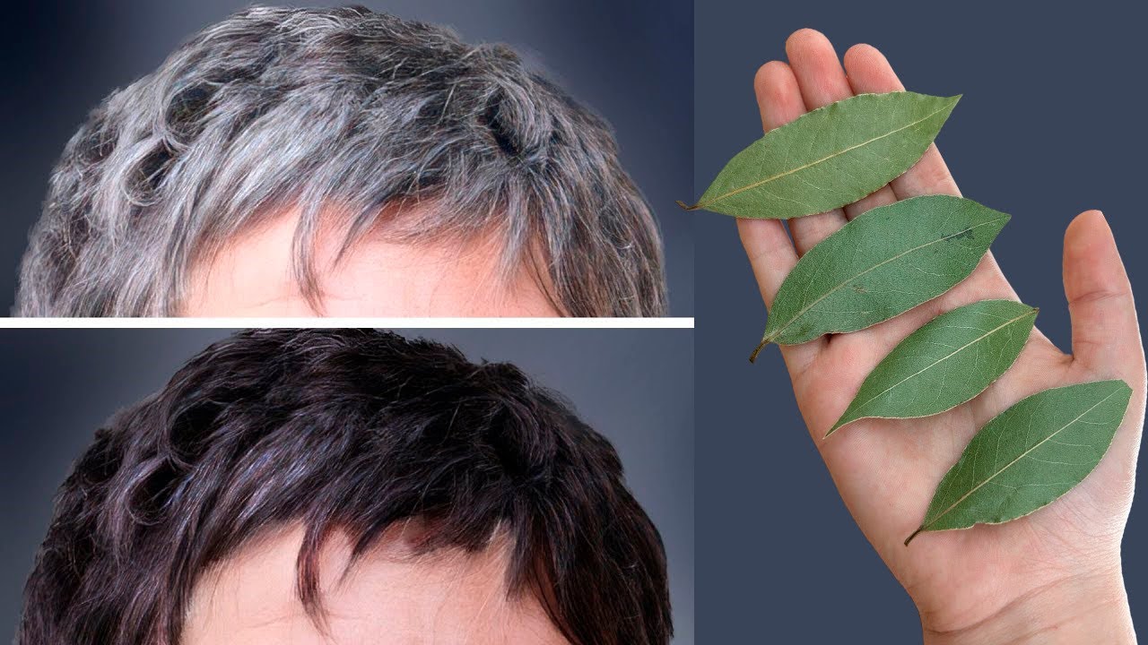 No Dyeing! Get Rid of Gray Hair at Home with Bay Leaves in Just 4 Minutes