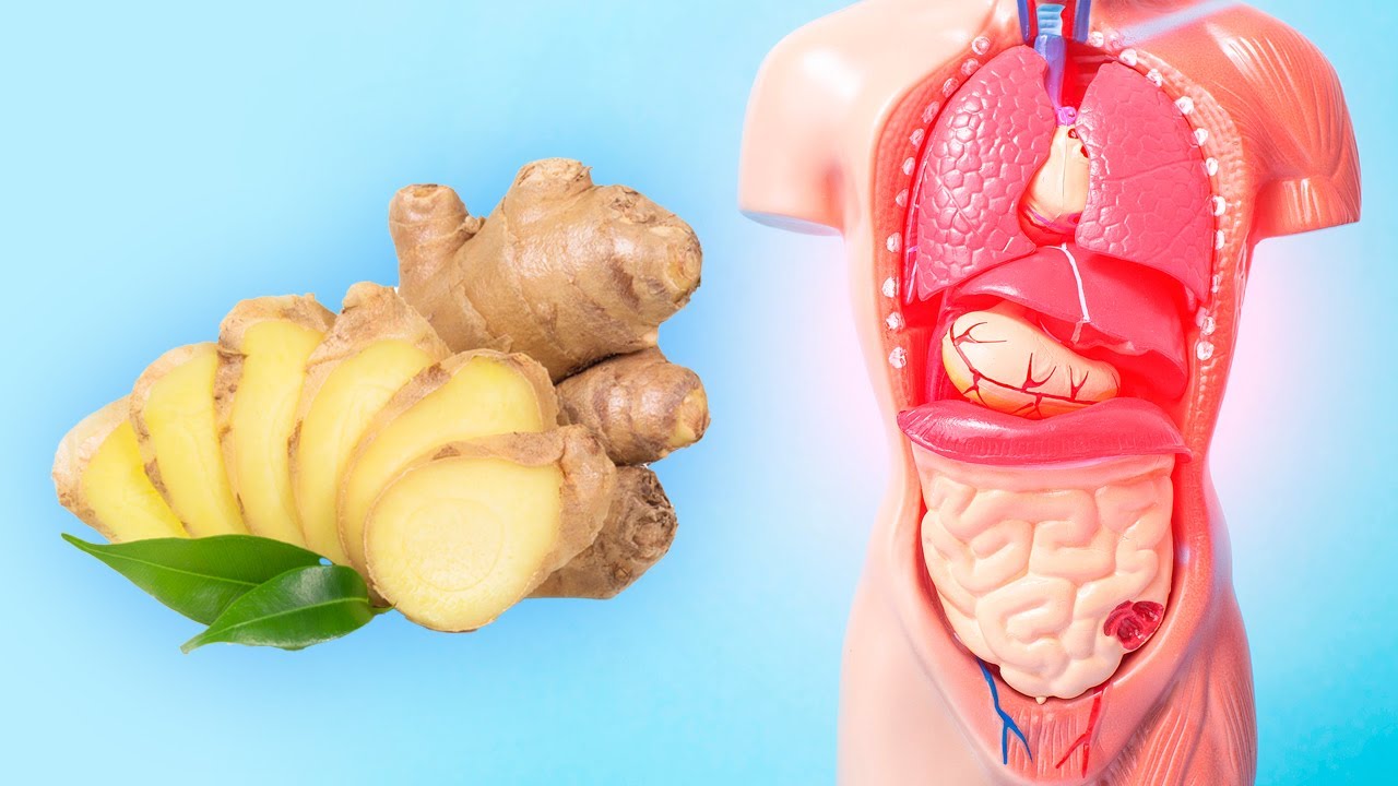 Health Benefits of Ginger: What is Ginger Good For?