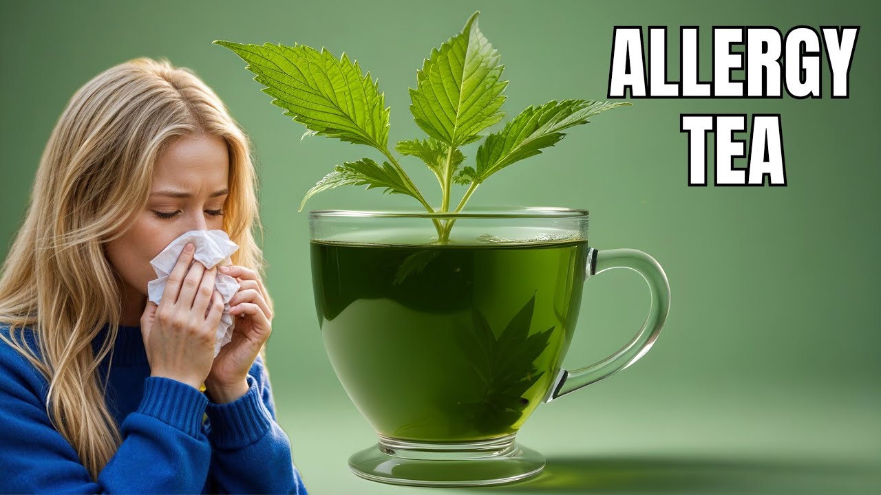 The Best Herbal Teas for Combating Allergies