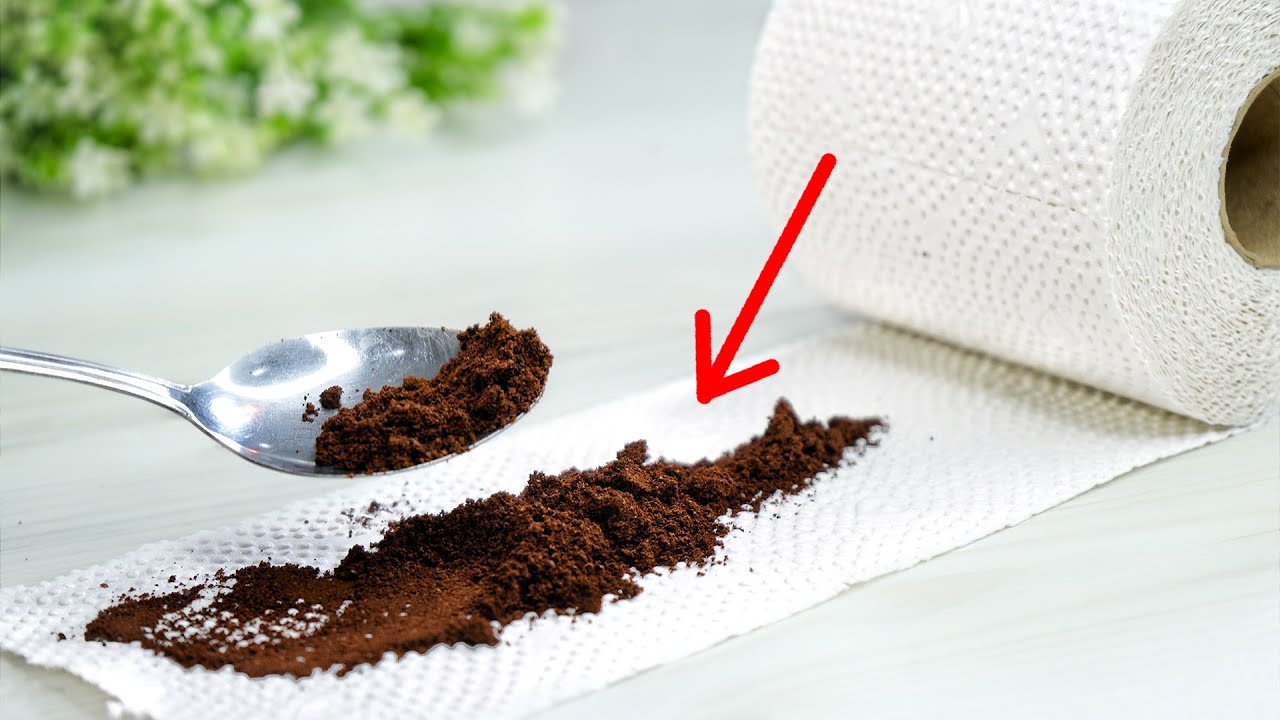 The Surprising Uses of Coffee on a Paper Towel: A Handy Trick for Your Home