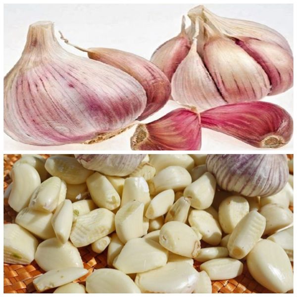 10 Secrets about Garlic You Didn’t Know