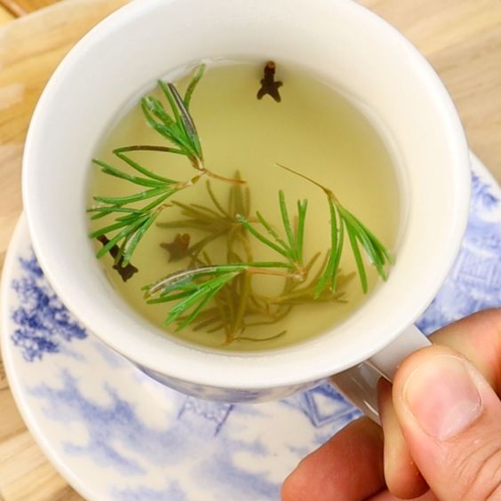 Rosemary and Cloves Tea: An Immunity-Boosting Elixir