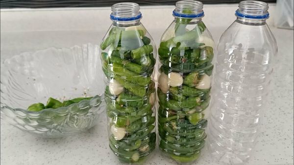 Spice Up Your Hydration with Sharp Green Pepper Infused Water