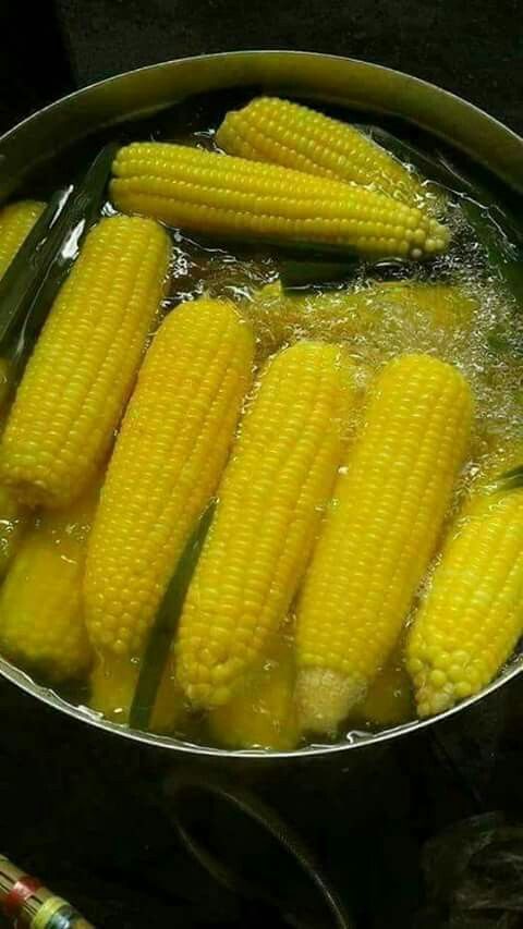 Perfectly Boiled Corn: Bringing Out the Natural Sweetness