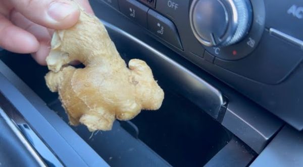 The Unsung Hero in Your Car: How a Simple Ginger Can Be a Lifesaver