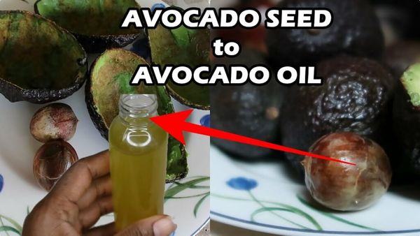 Making Avocado Oil at Home: A Simple Guide