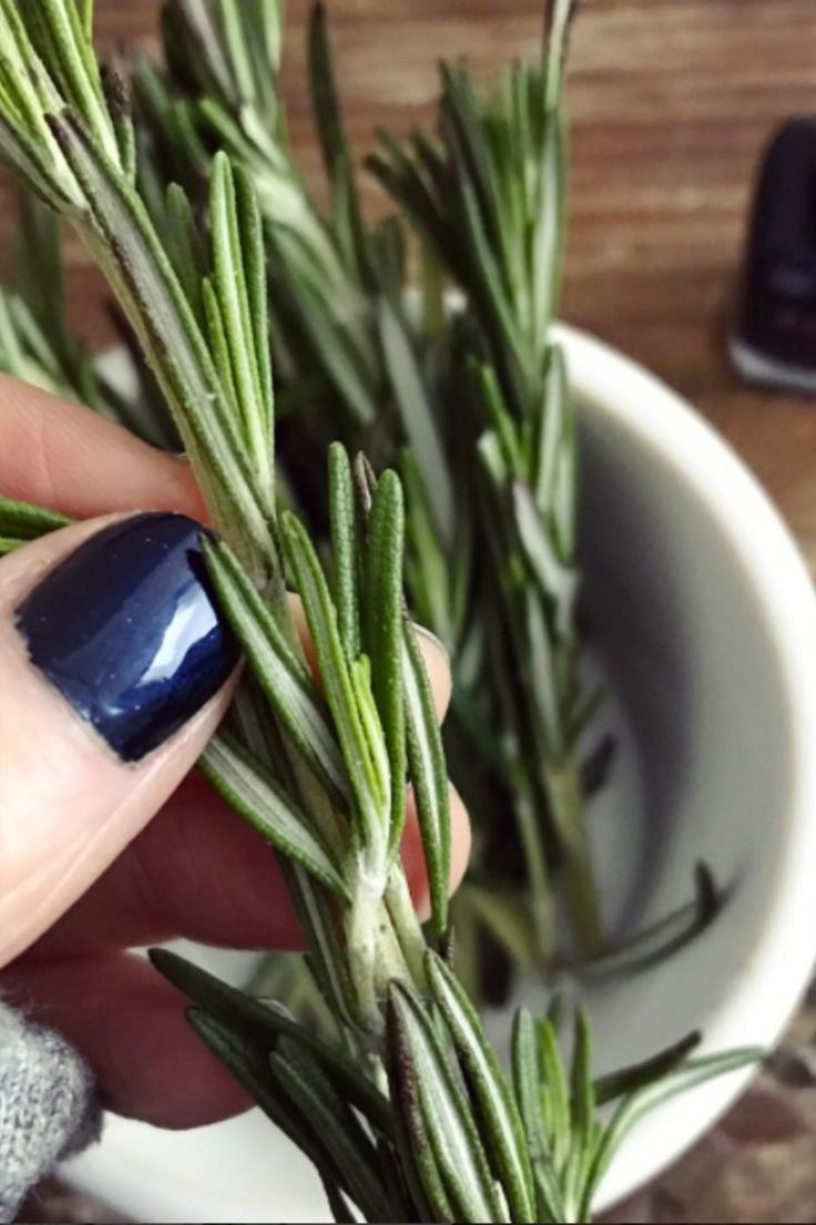 Discover the Wonders of Rosemary Tea for Your Health