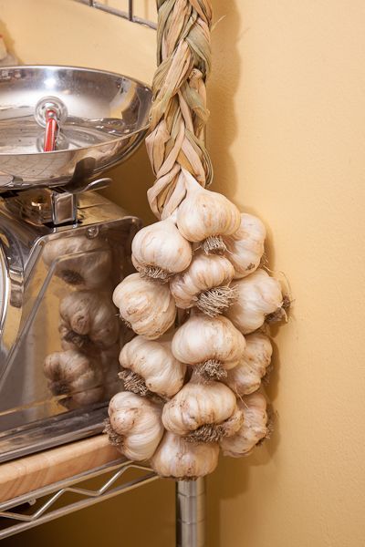 Preserving the Goodness: 4 Ways to Store Garlic Long-Term