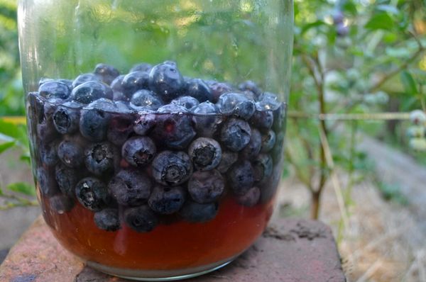 Stay Healthy and Energized with Berries and Honey