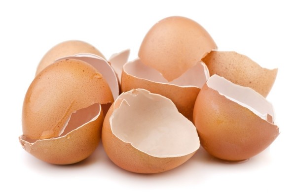 4 Amazing Tricks to Use Eggshells at Home