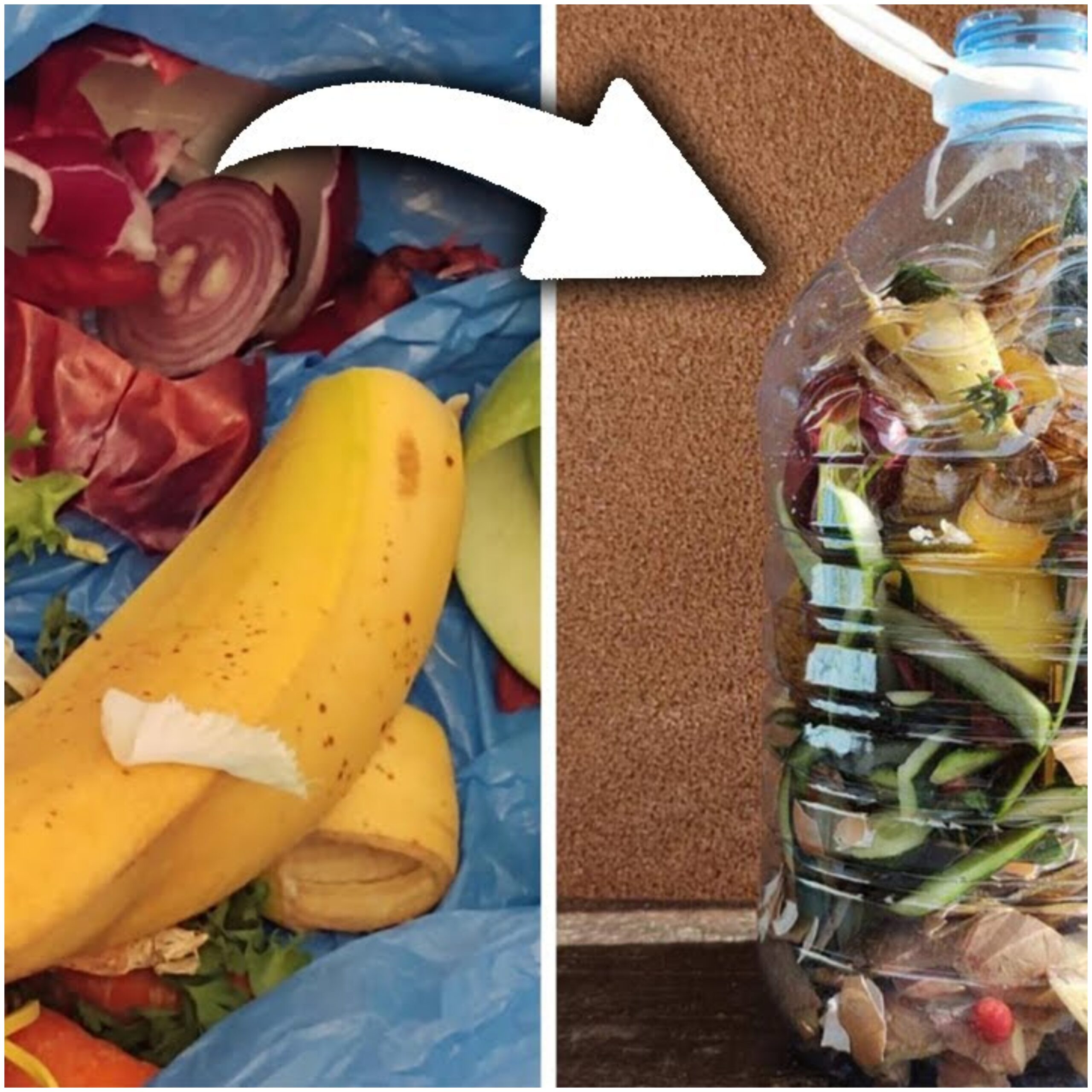 Why I Put Kitchen Scraps in a Plastic Bottle