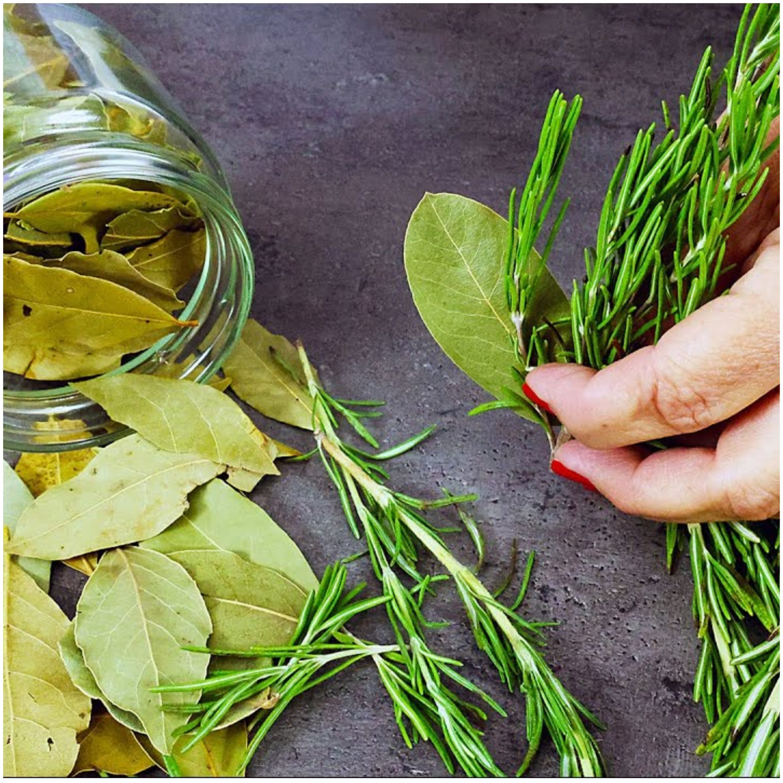 A Natural Remedy for Enlarged Veins and Cracked Capillaries: Rosemary and Bay Leaves