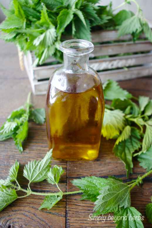 Mix Nettle with Oil for Bone and Joint Pain: You Will Be Surprised at the Result