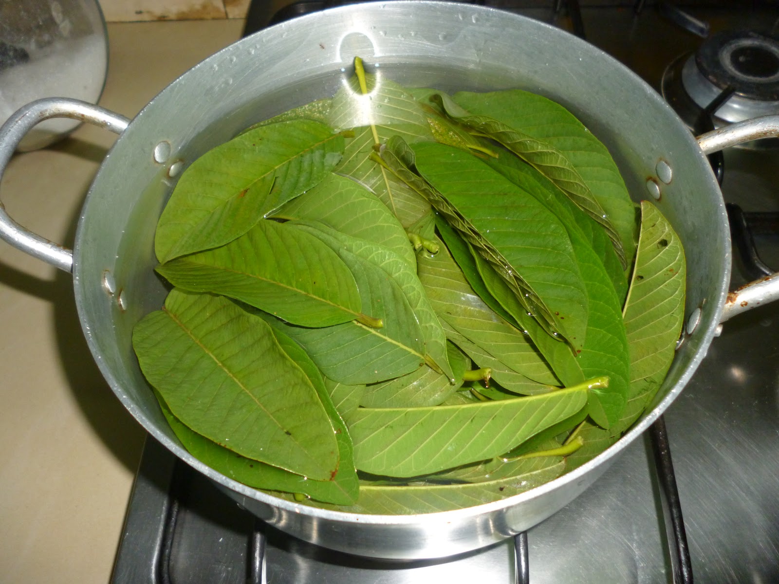 Boil Guava Leaves for These Incredible Health Benefits