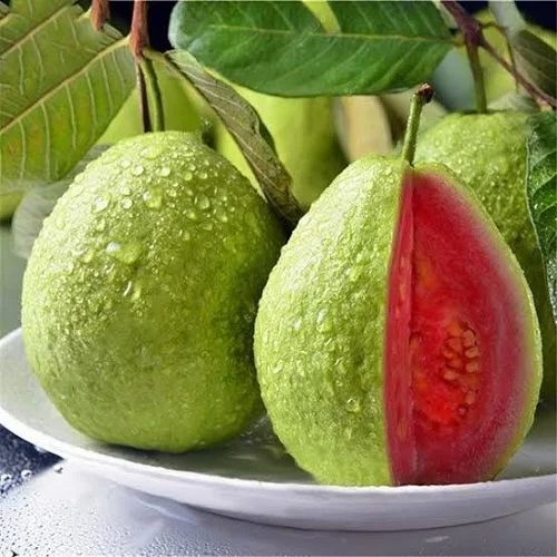 Guava Benefits and Side Effects: Health Benefits of Guava Fruit