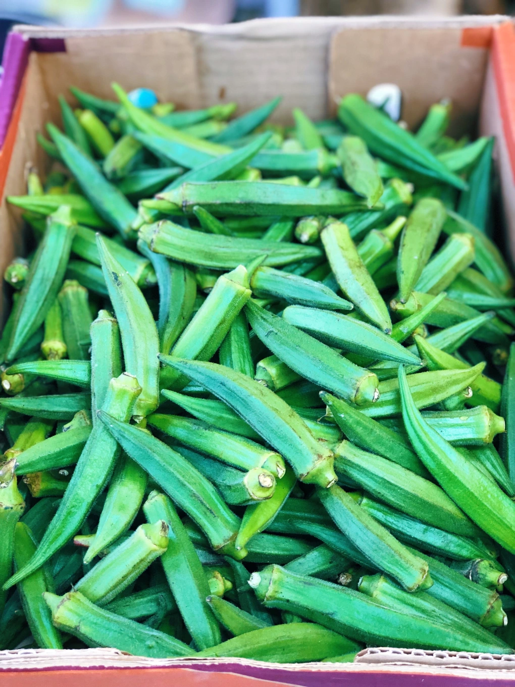 23 Things You Should Know About Okra