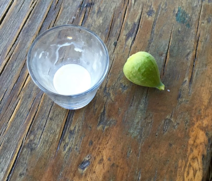 Here’s Why I Collect Fig Milky Sap in a Small Bottle