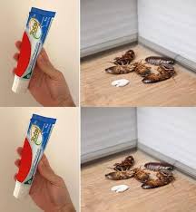 How to Remove Ants, Mites, and Cockroaches at Home Forever with the Toothpaste Hack