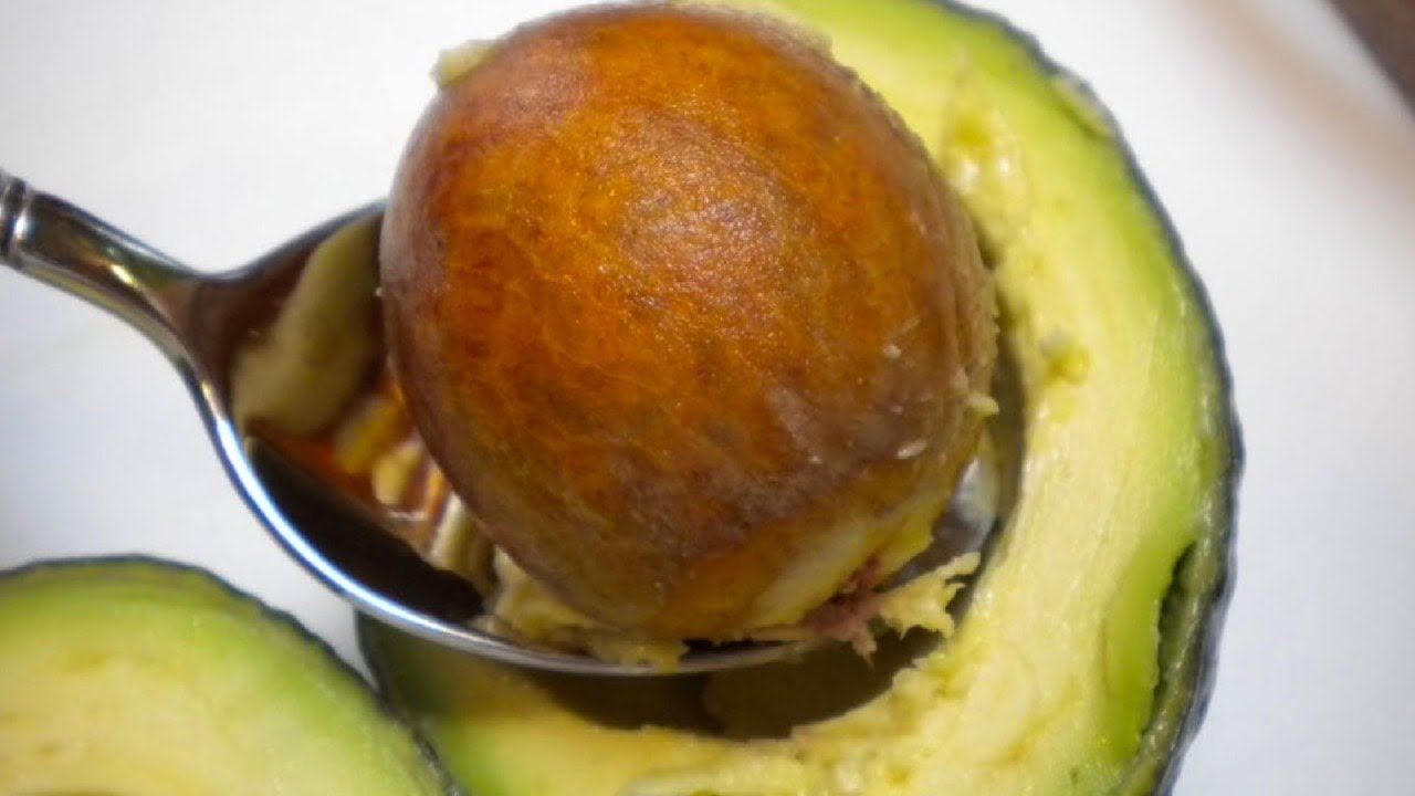 Discover the Hidden Wonders of Avocado Seeds