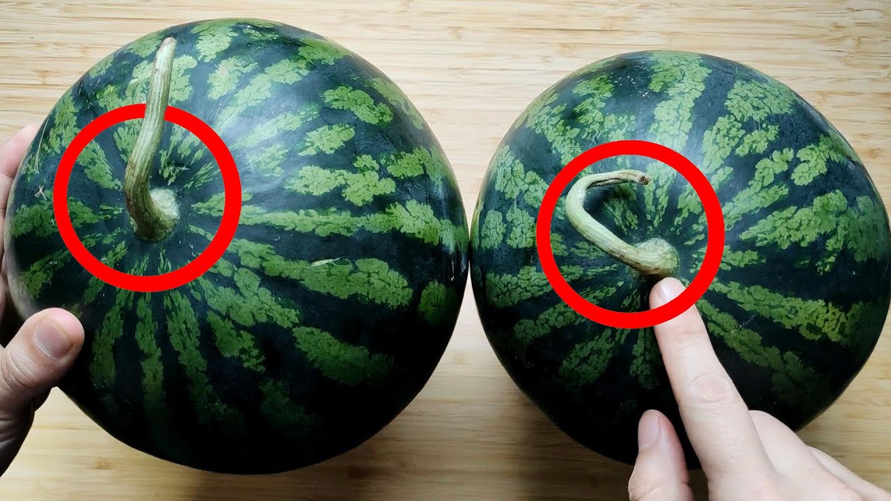 How to Pick a Perfectly Sweet Watermelon: Easy Tips at a Glance